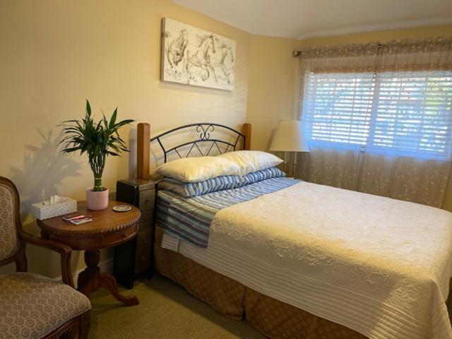 Bed & Breakfast Ocean Breeze Executive 4*